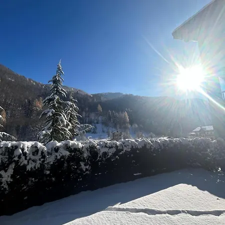 Le Petit Limone Daire